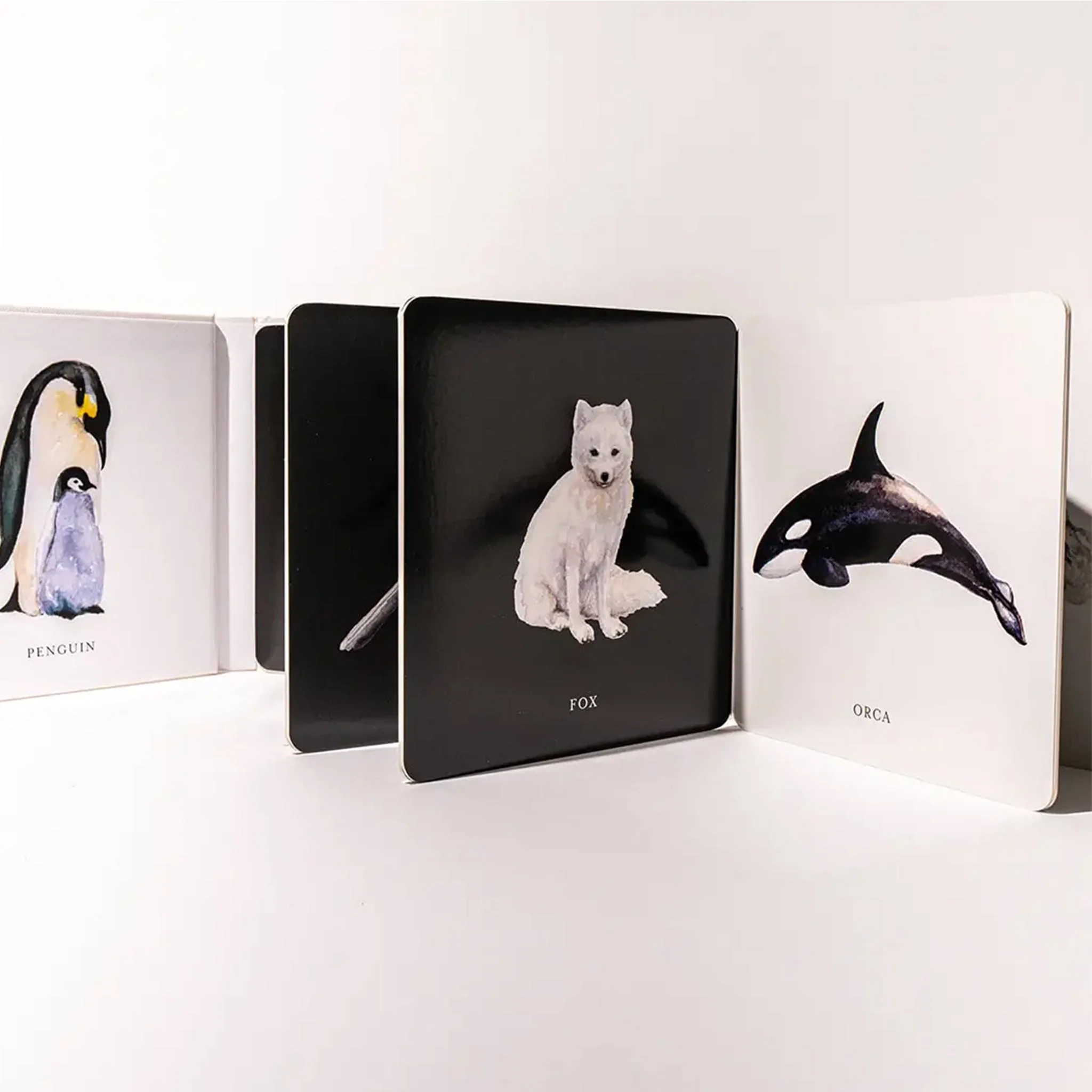 Baby's Black and White Contrast Book - Image 3