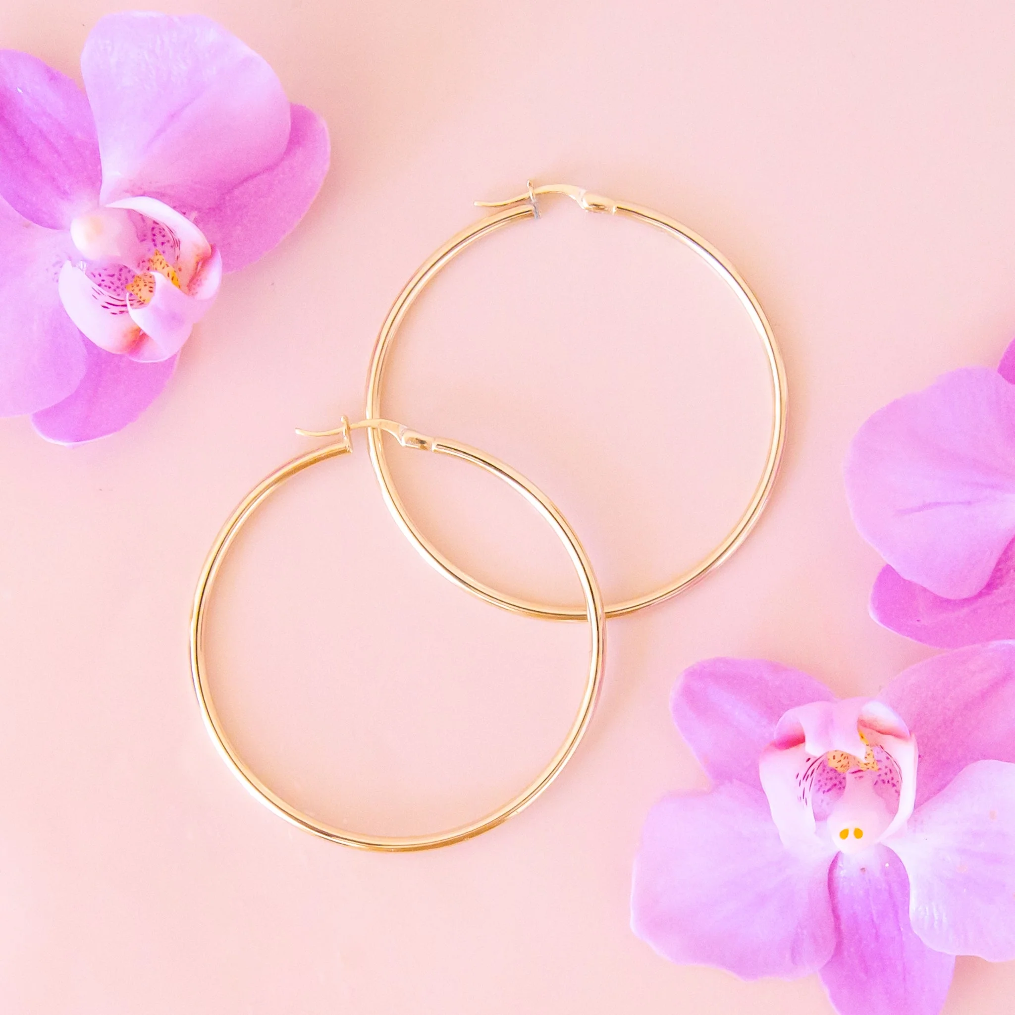 Chelsea Hoops - Image 5