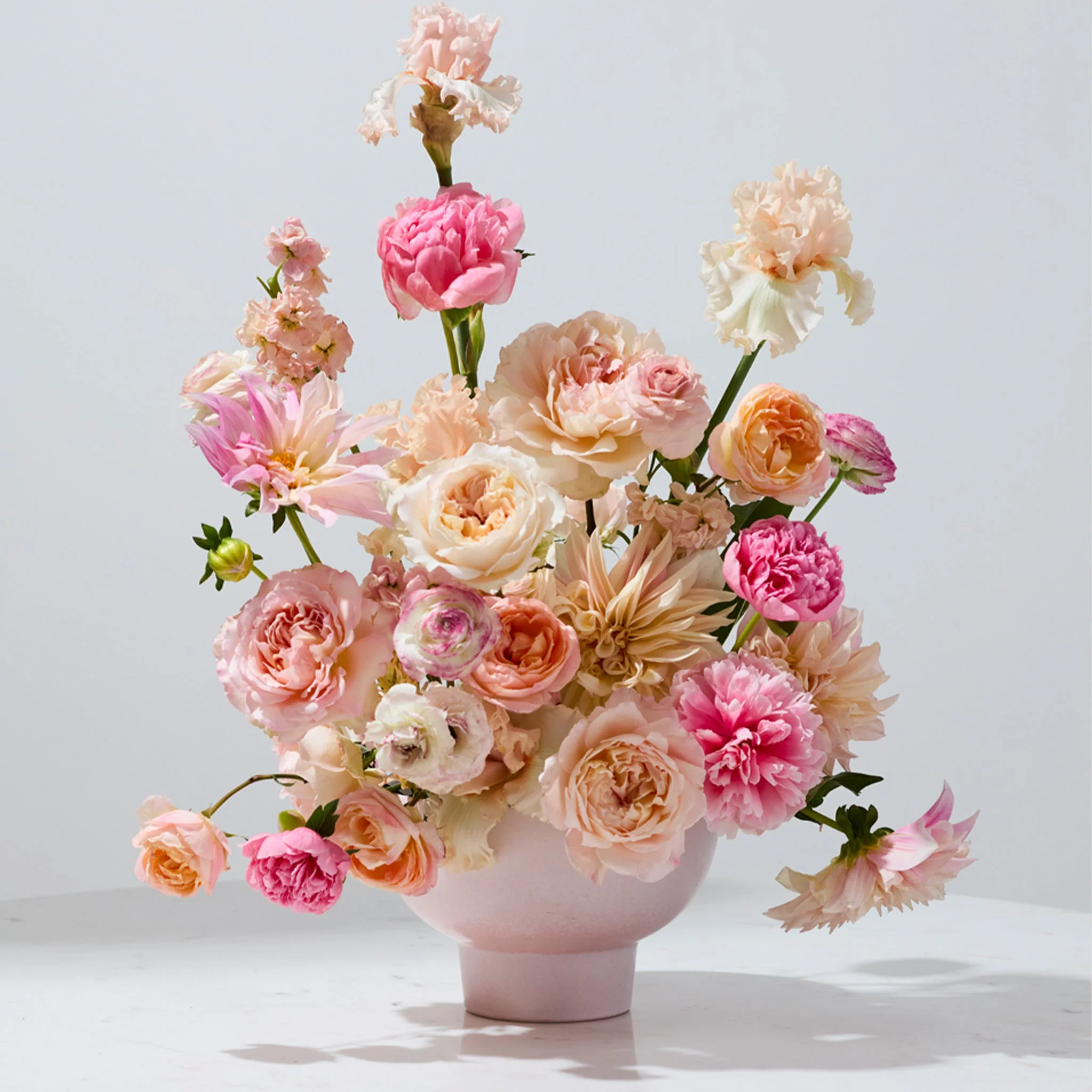 Elliot Compote | Pink - Image 3