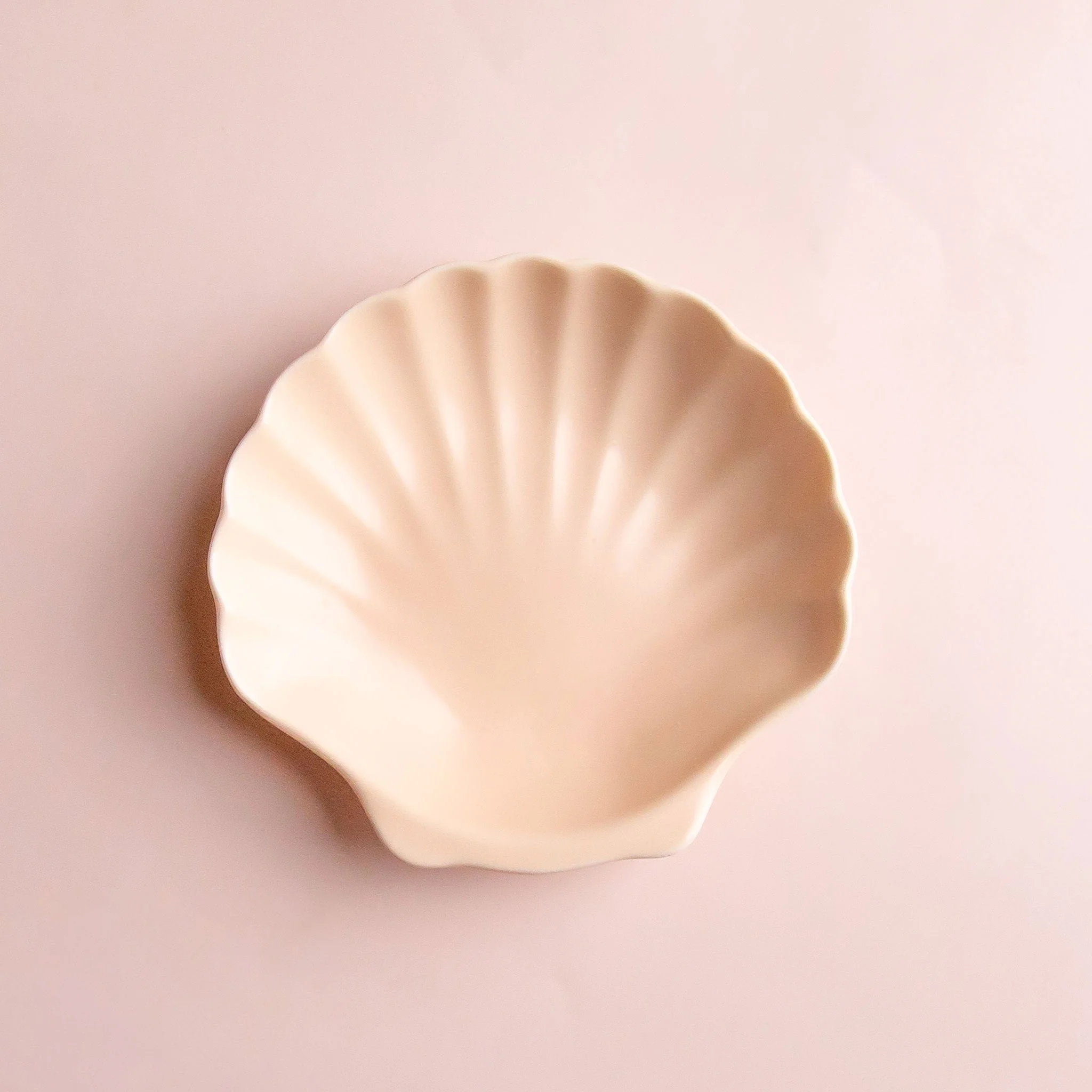Trinket Dish | Shell - Image 3