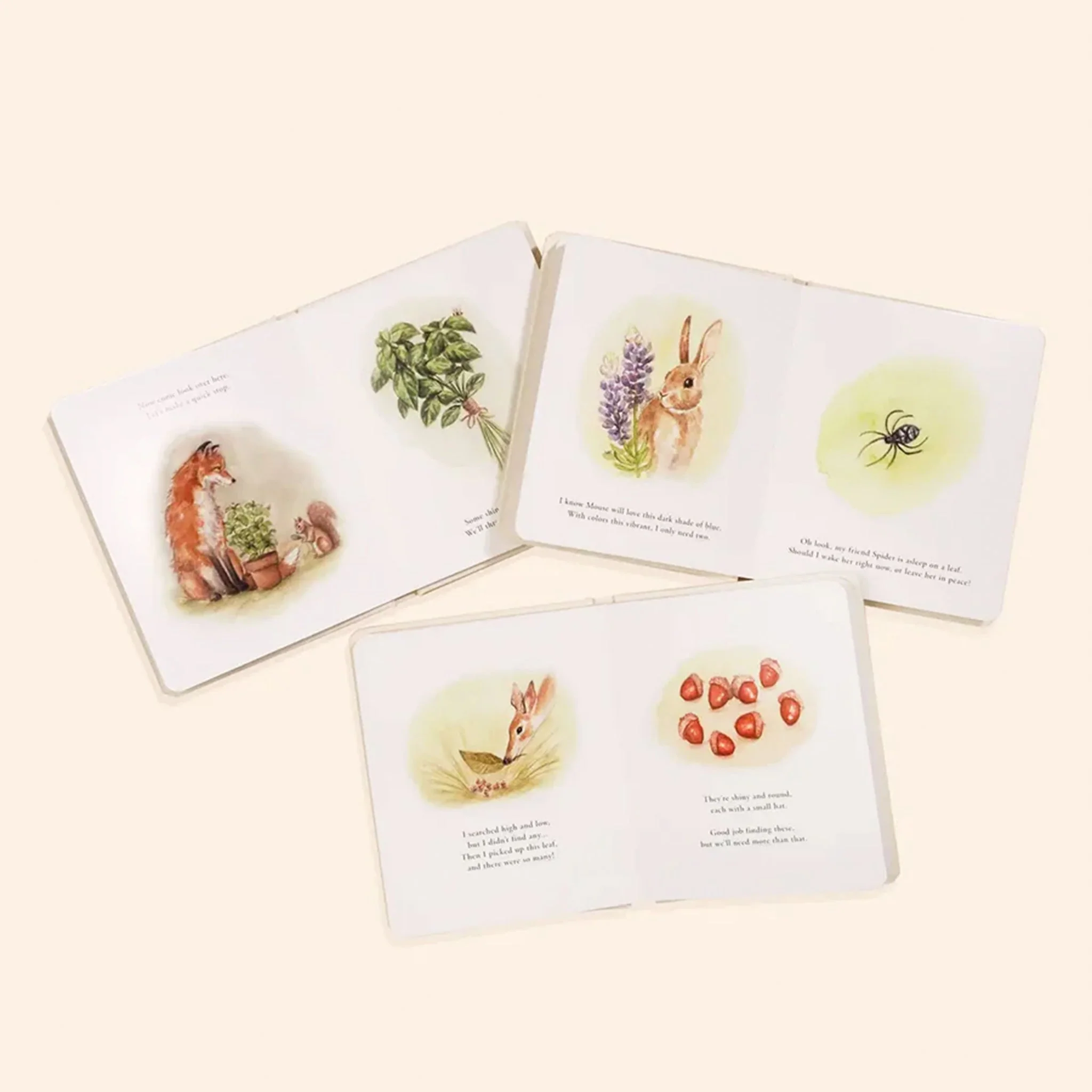 Our Little Adventures - Image 3