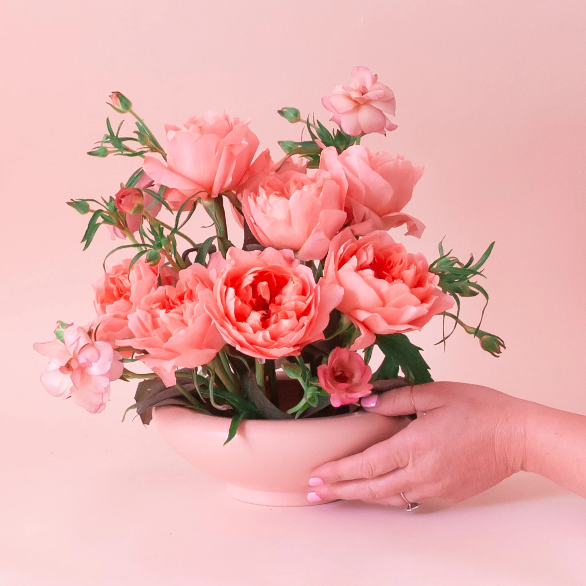 Birdie Bowl | Petal Pink - Image 3