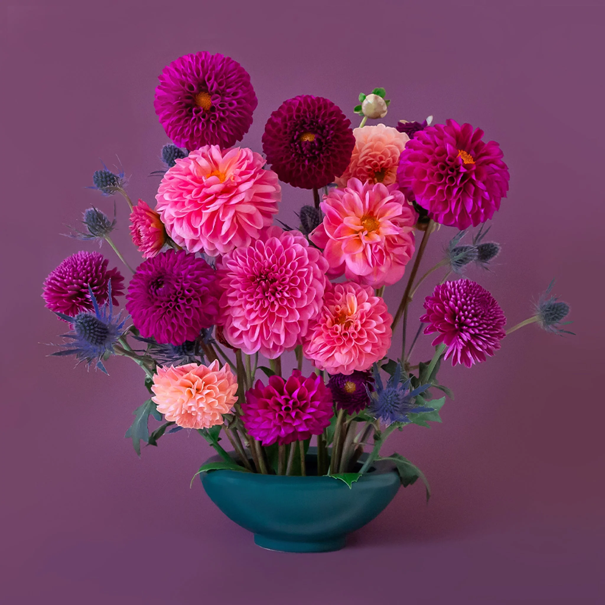 Birdie Bowl | Rainforest - Image 7