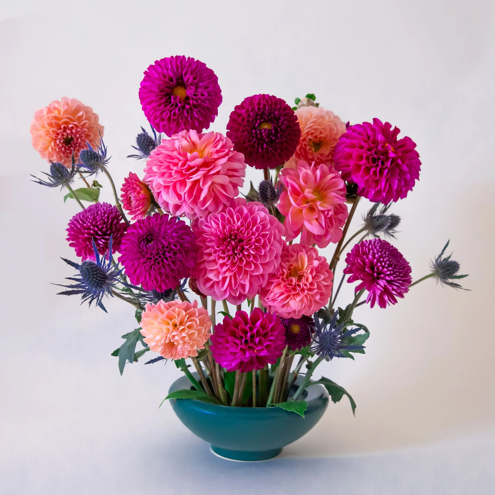 Birdie Bowl | Rainforest - Image 8