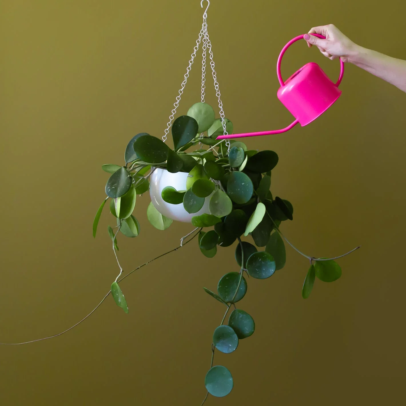 Cleo Hanging Planter | White - Image 3