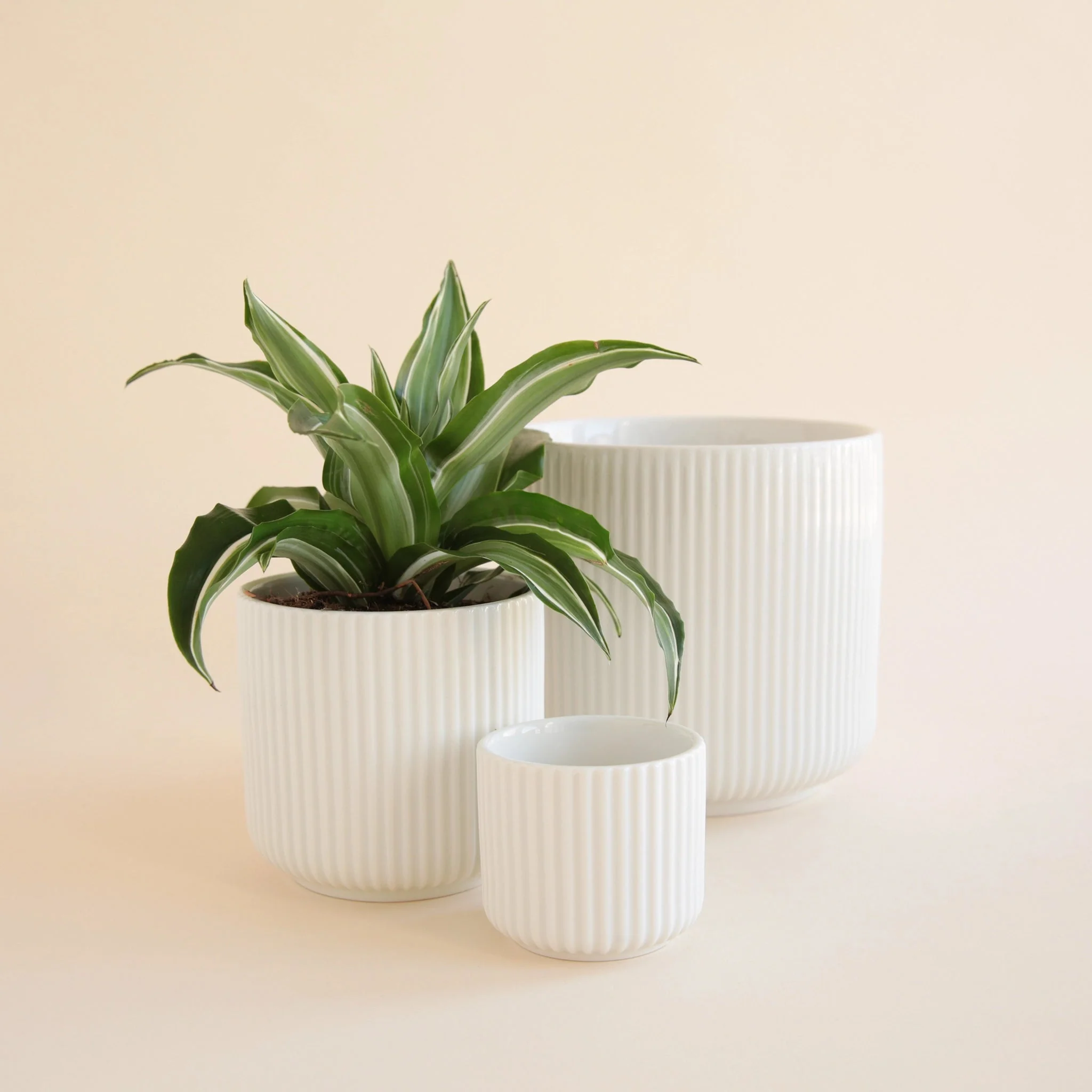 Lucy Planter | White - Image 4