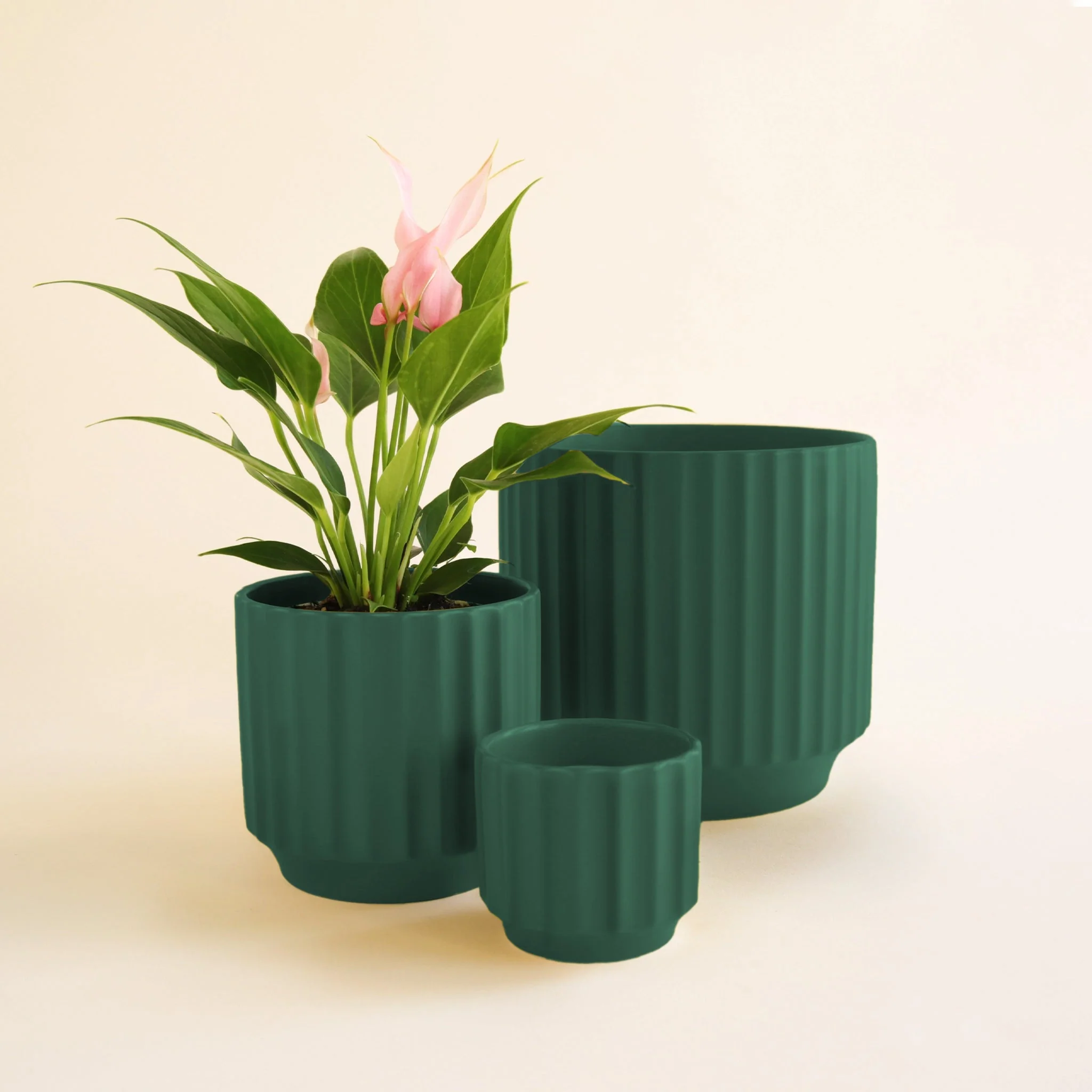 Monroe Planter | Rainforest - Image 5