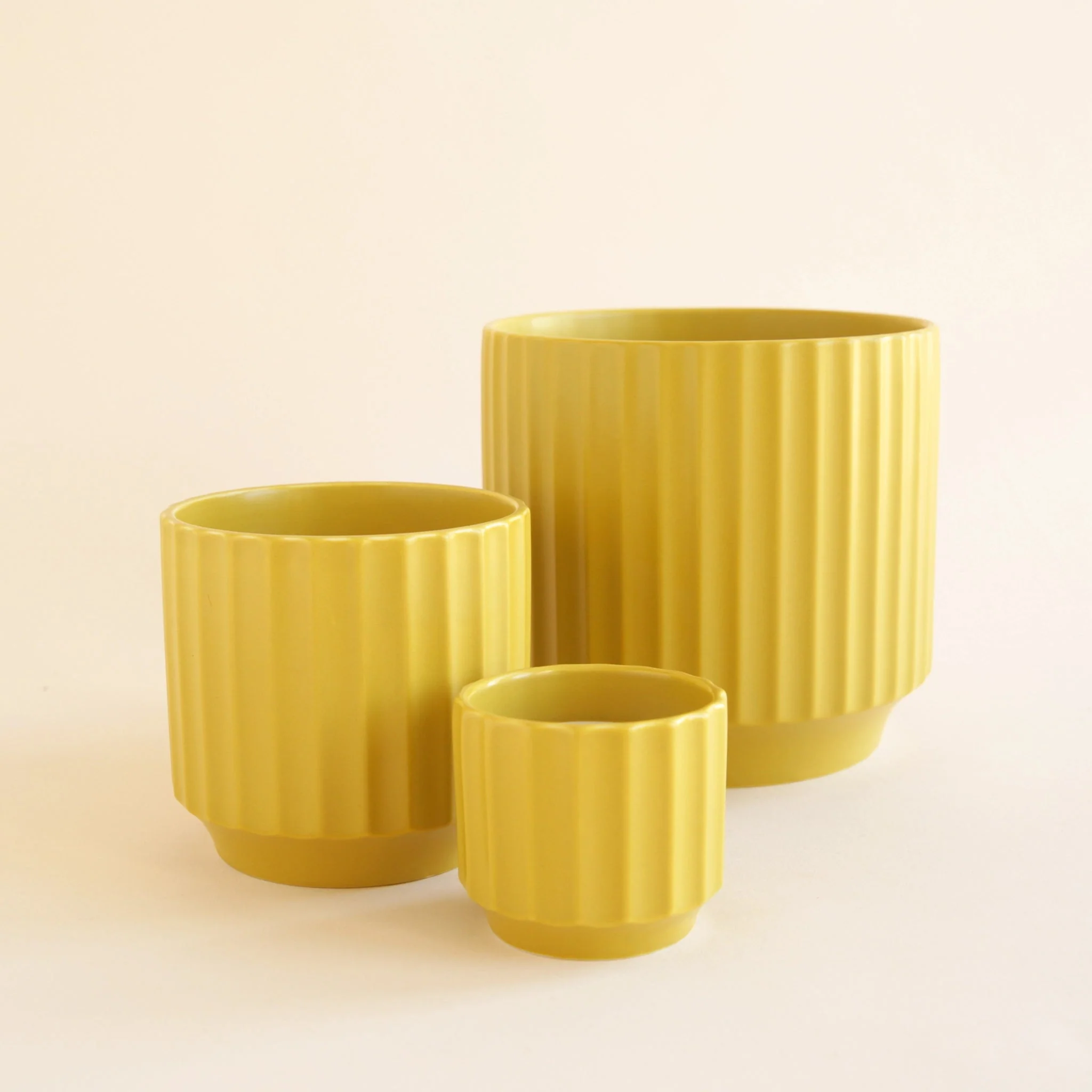 Monroe Planter | Palm - Image 6