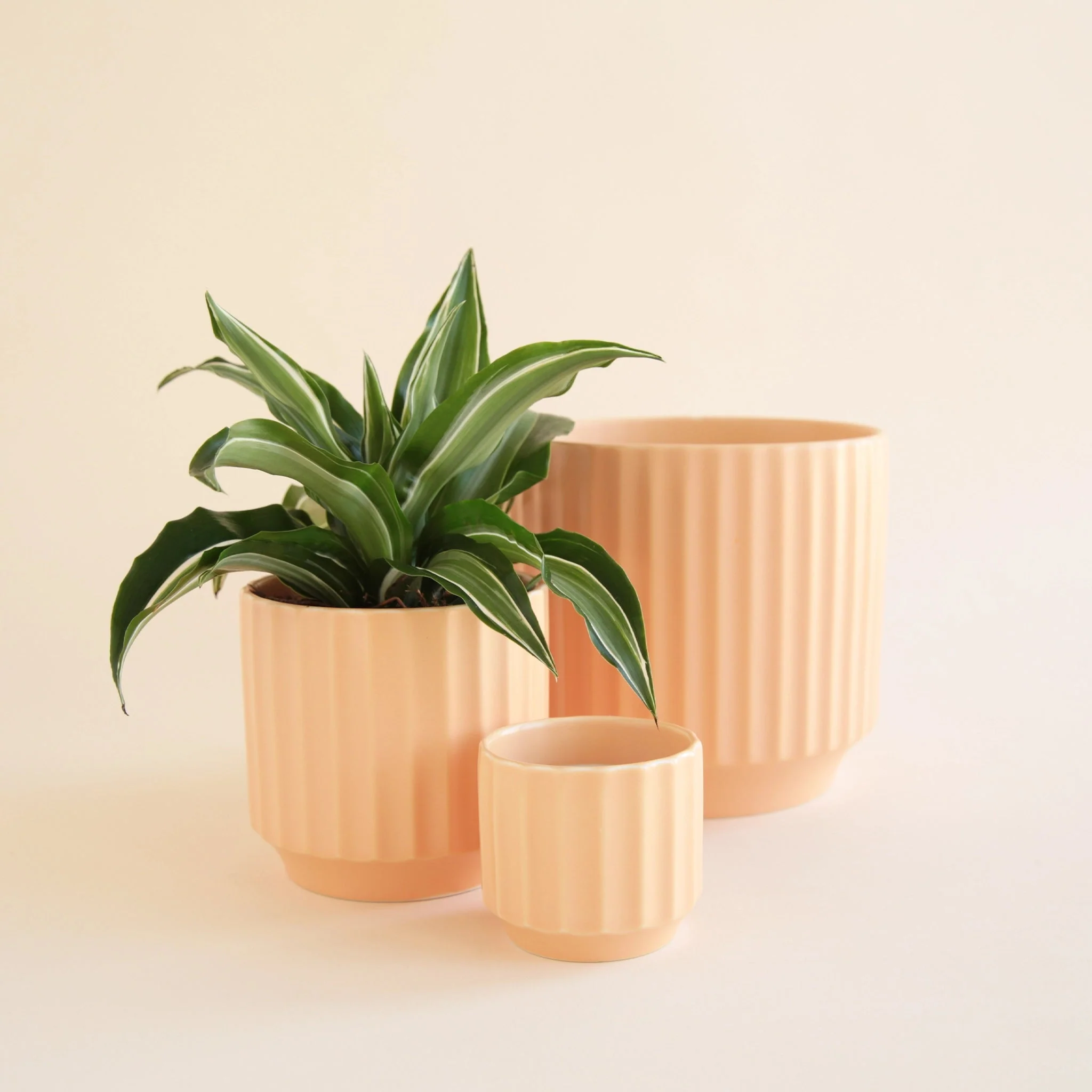 Monroe Planter | Sunset - Image 4