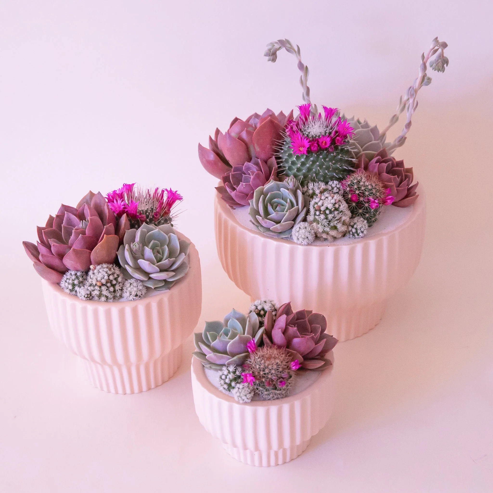 Presley Pedestal Planter | Ballerina - Image 3