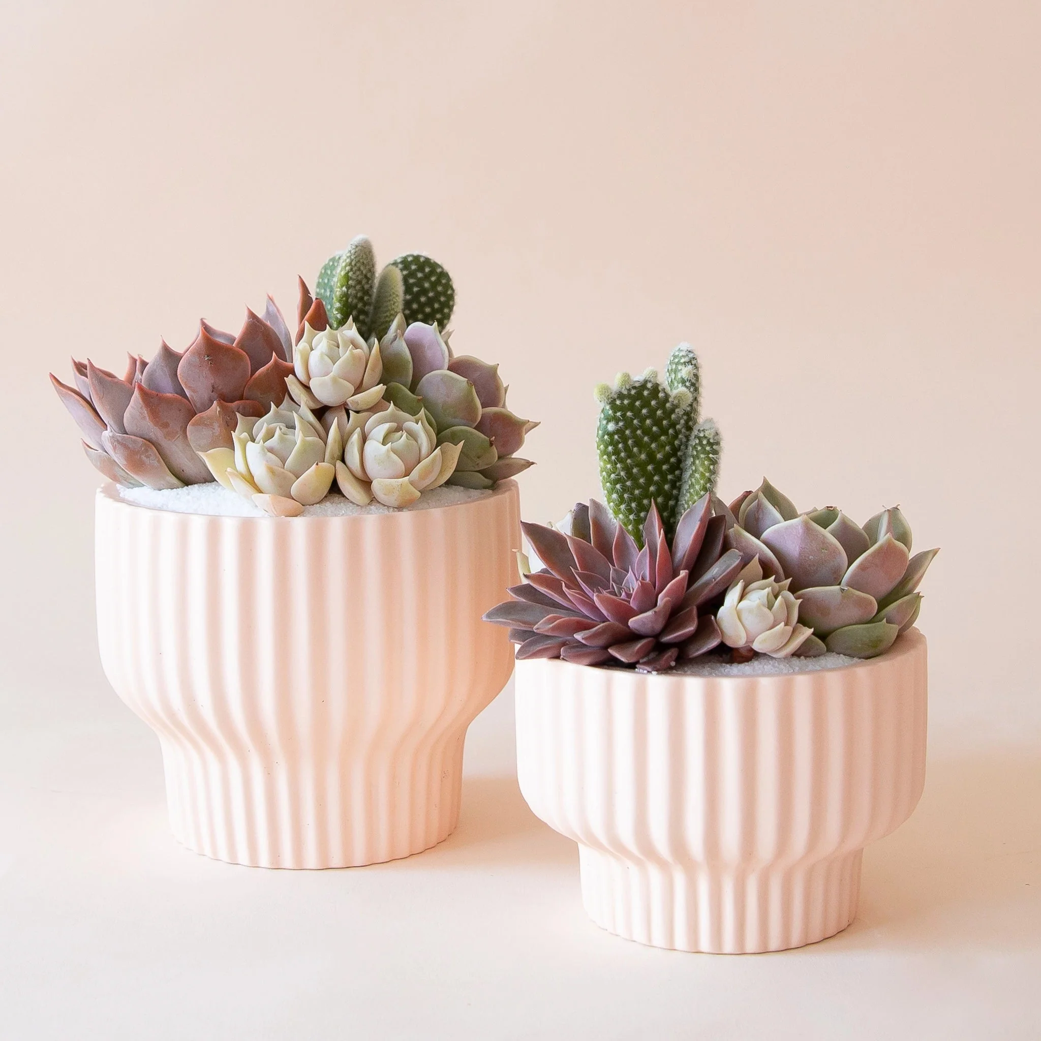 Presley Pedestal Planter | Ballerina - Image 4