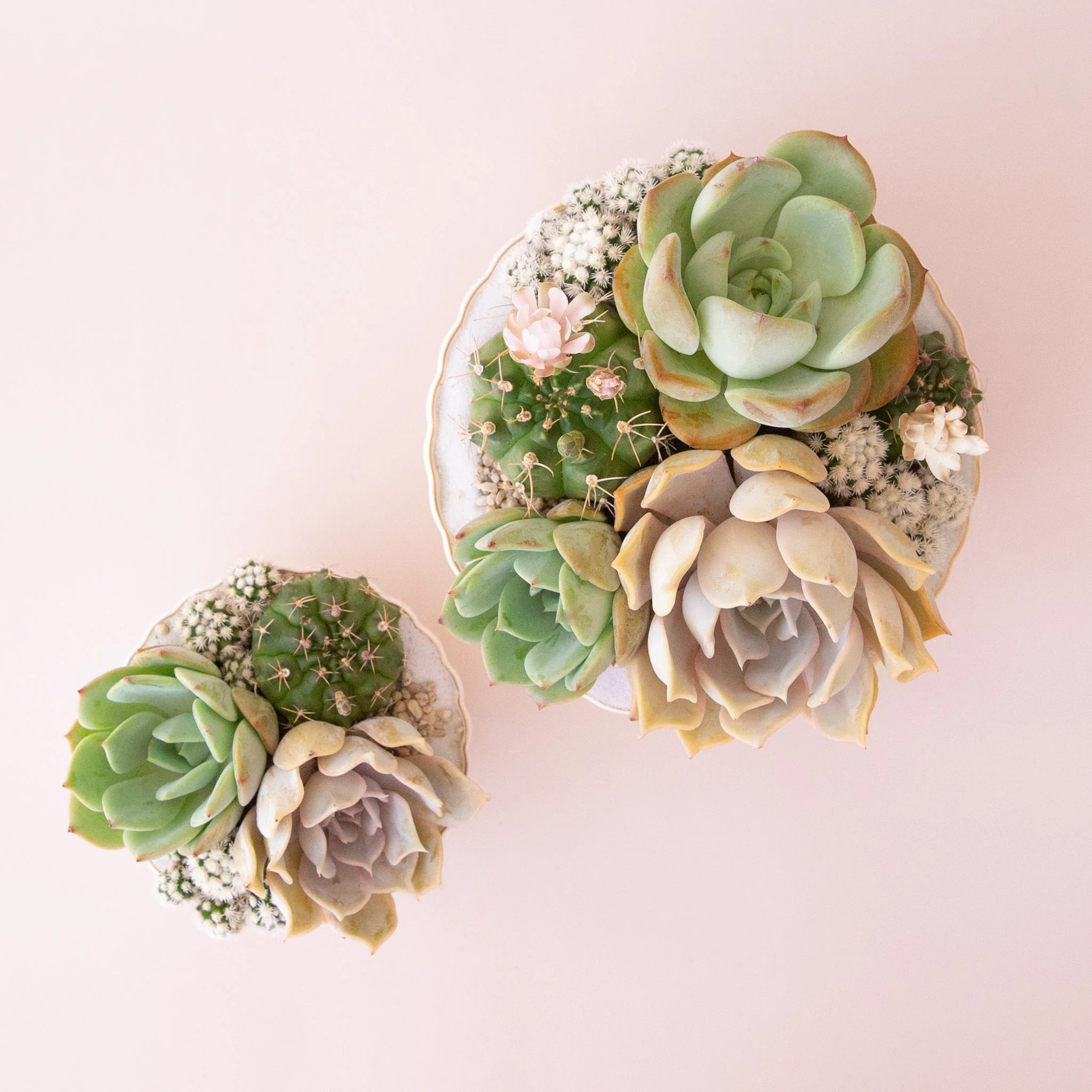 Delphine Low Bowl | Vintage White Speckle - Image 5