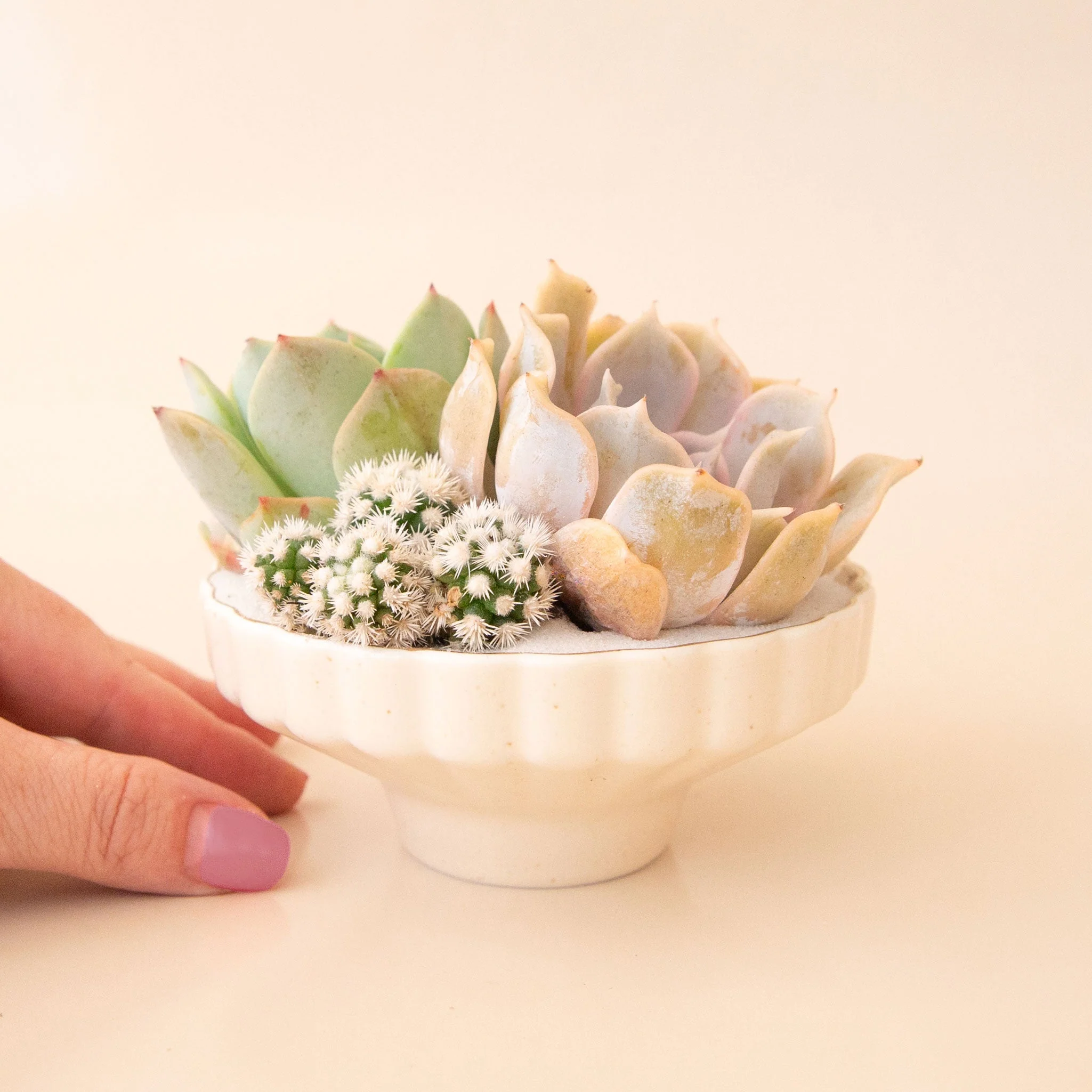 Delphine Low Bowl | Vintage White Speckle - Image 6