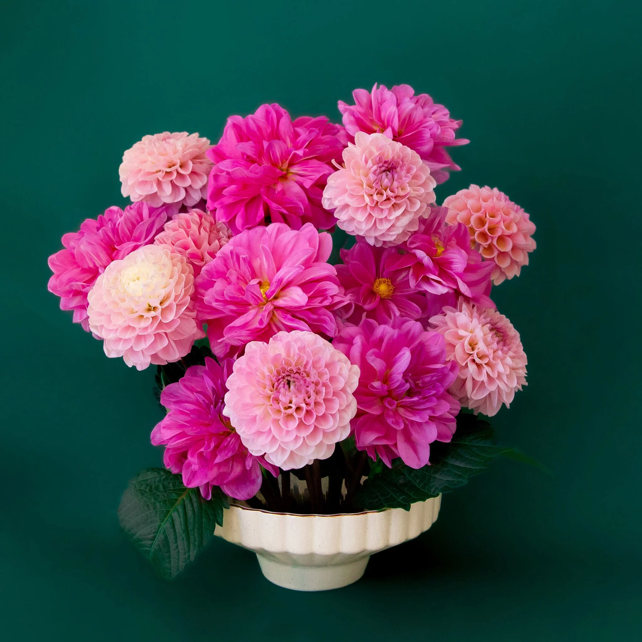 Delphine Low Bowl | Vintage White Speckle - Image 7