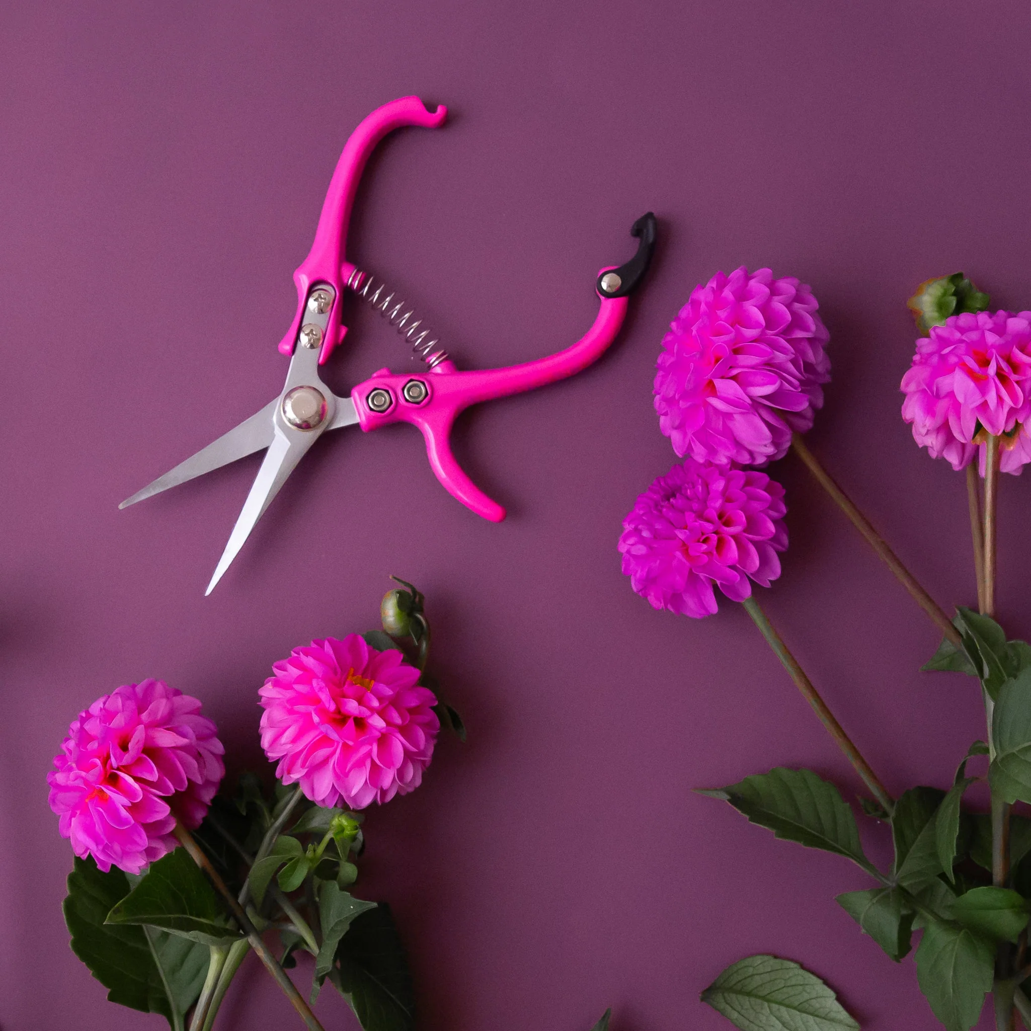 Pruning Shears | Hibiscus - Image 3