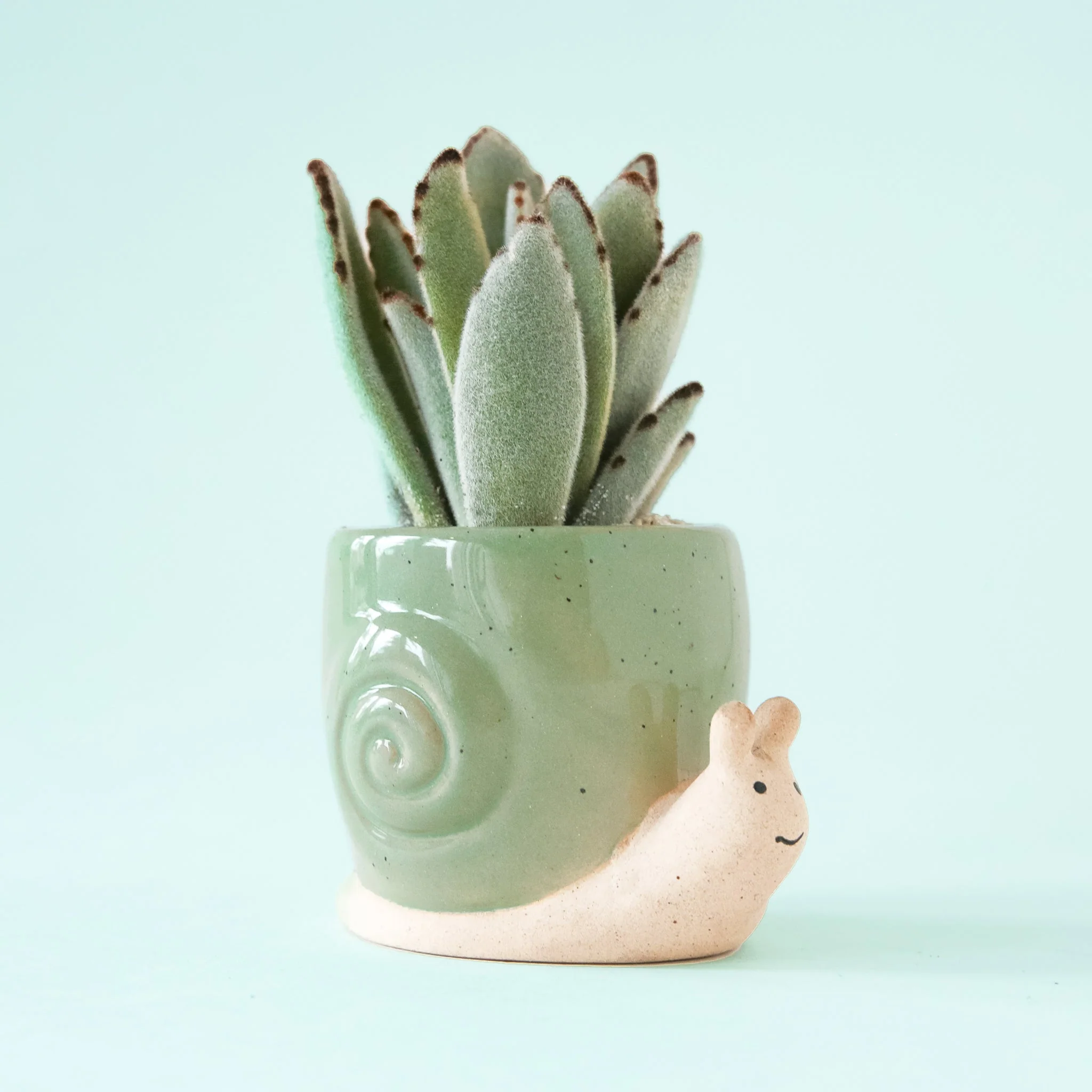 Snail Planter | Lagoon - Image 3