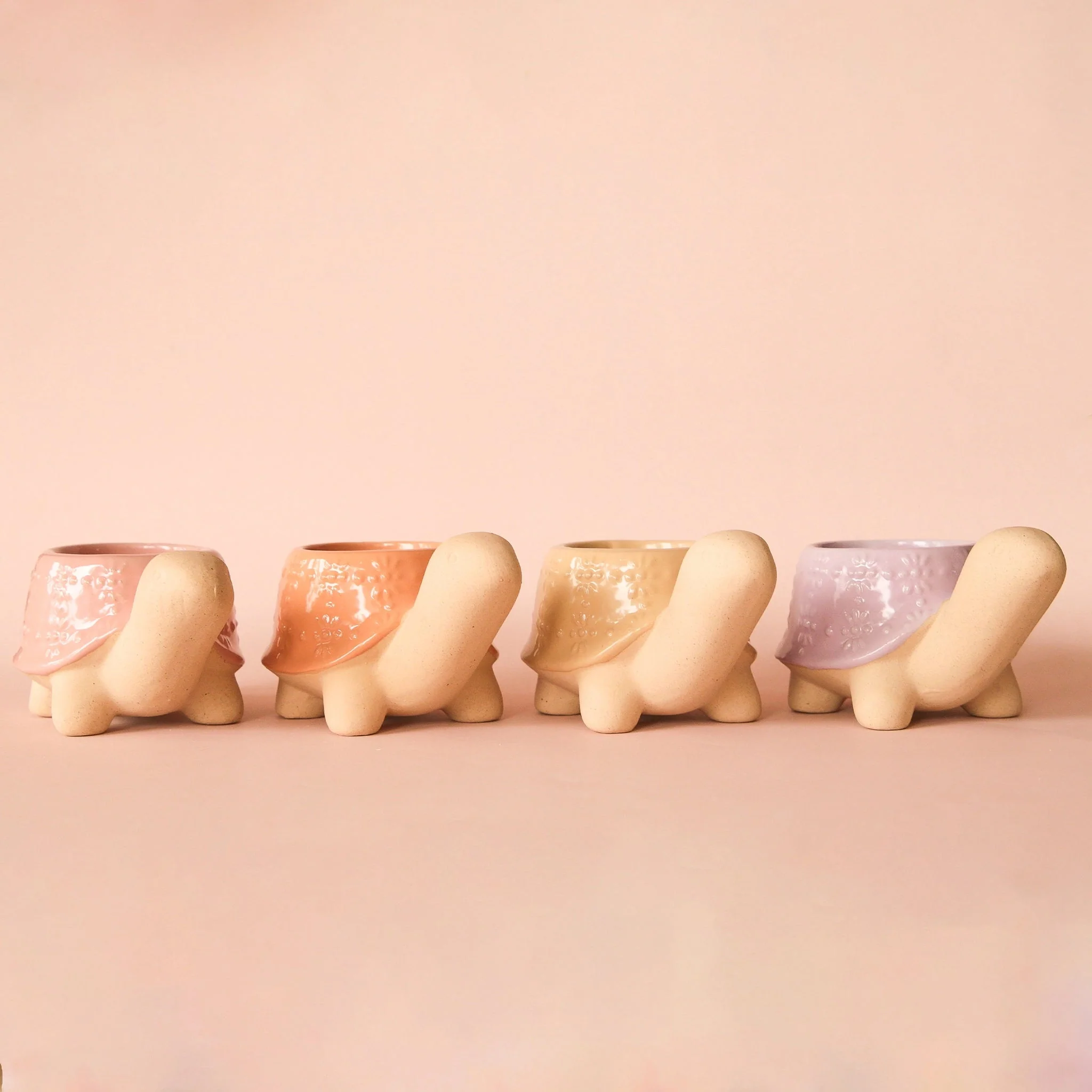 Turtle Planter | Sunset - Image 3